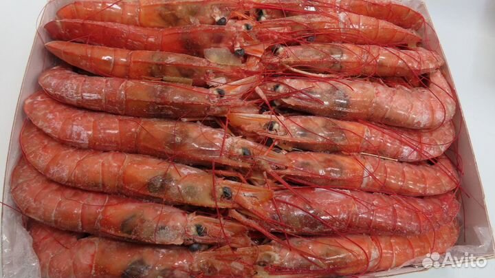 Креветка аргентинская (Лангустины), с/г, (L1) 10/2