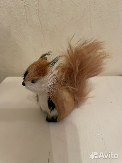 Белочка, крысята