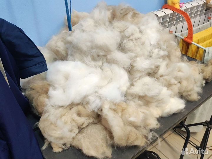 Собачья и кошачья шерсть пух