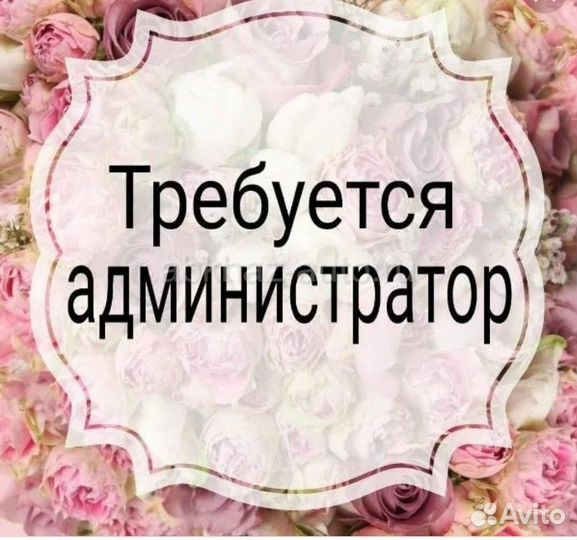 Администратор женской одежды в ТЦ Зеленопарк
