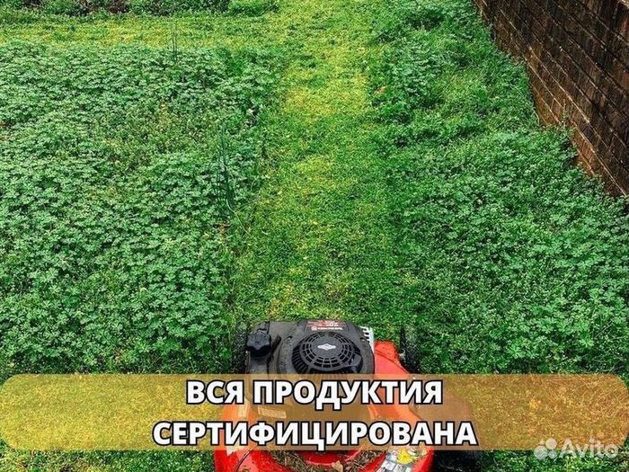 Укладка рулонного газона