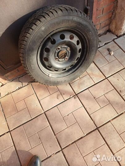 Gislaved Nord Frost III 175/70 R14