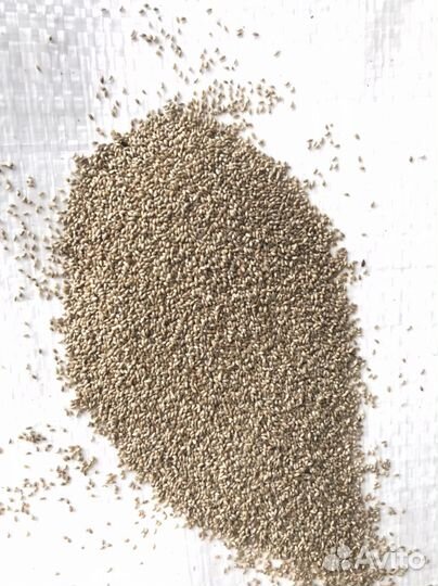 Семена многолетних трав оптом и в розницу