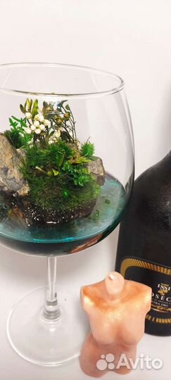 Моссариум флорариум