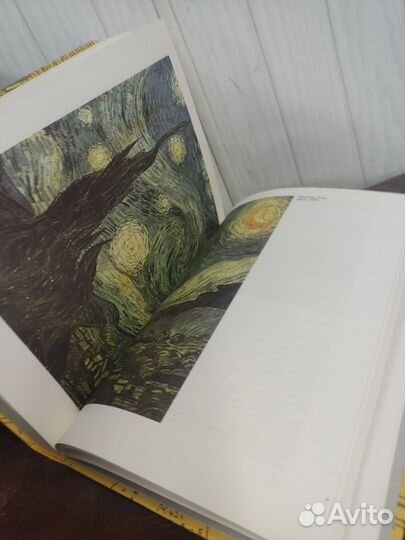 Ирвинг Стоун. Жажда Жизни