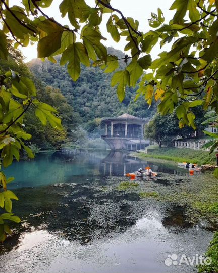 Отдых в Абхазии 10 дней все включено