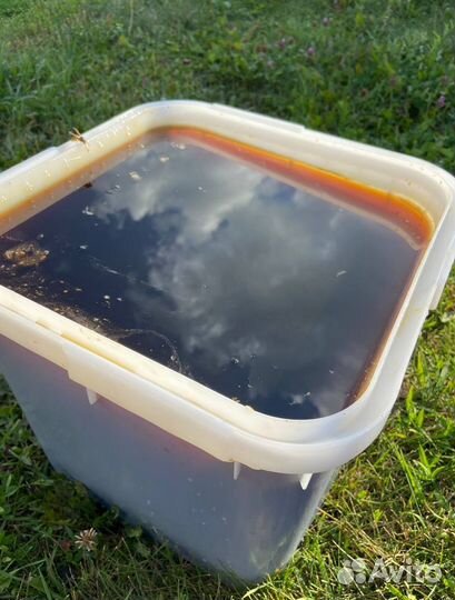 Мед оптом с Алтая / Экспорт в Китай и снг