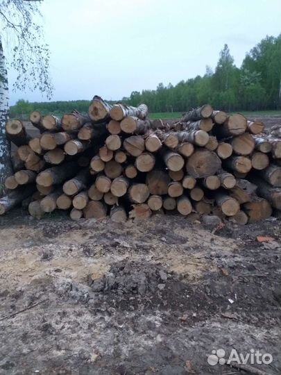 Лес кругляк береза,осина