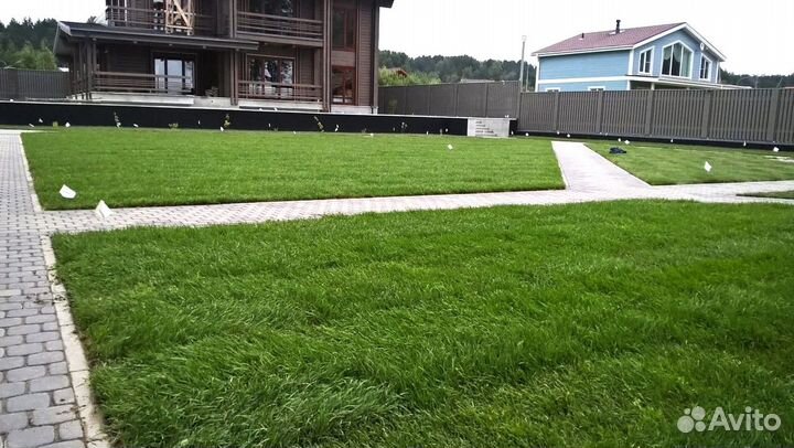 Рулонный газон под ключ с автополивом
