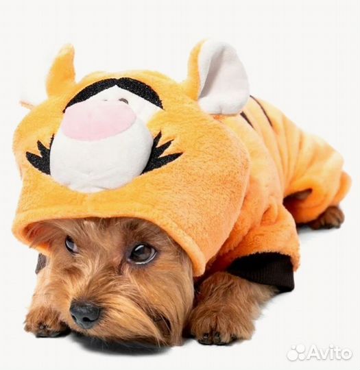 Комбинезон для маленькой собаки