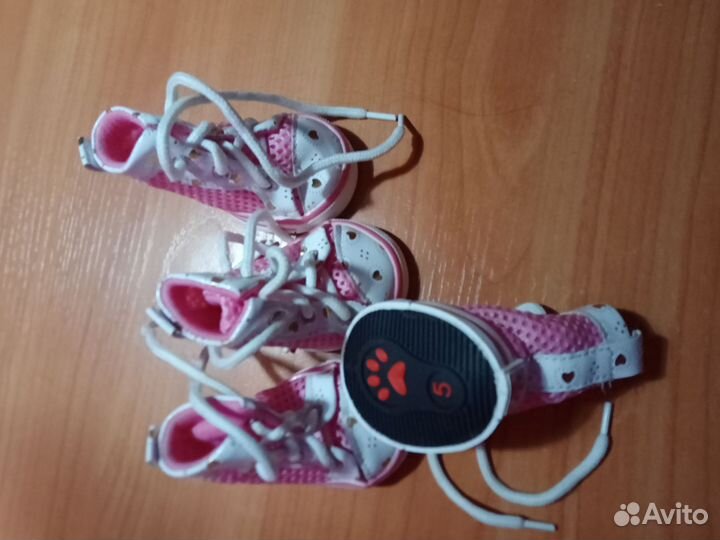 Одежда для маленьких собак