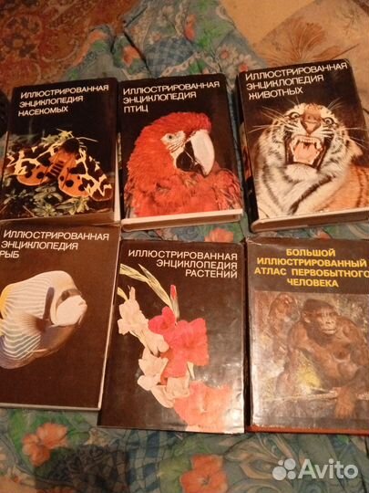 Иллюстрированная ицыклопедия