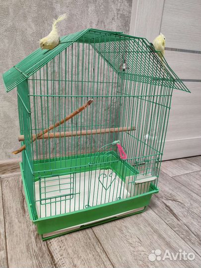 Клетка для попугая
