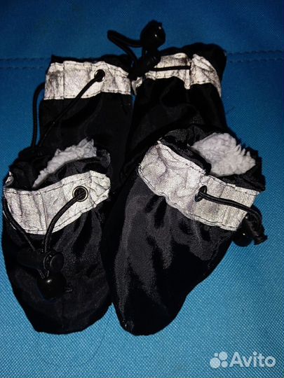 Сапожки для собак