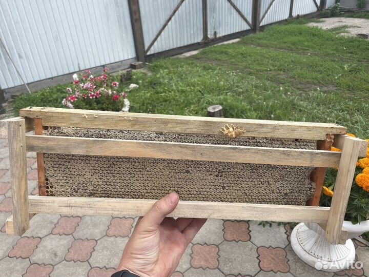 Продам мед оптом