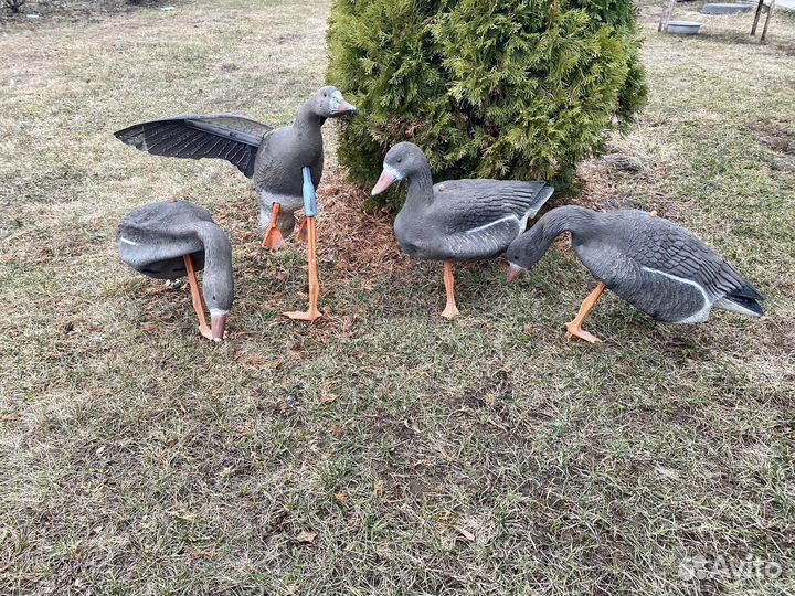 Чучела гусей sportplast