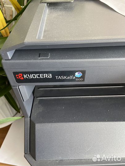 Принтер лазерный мфу