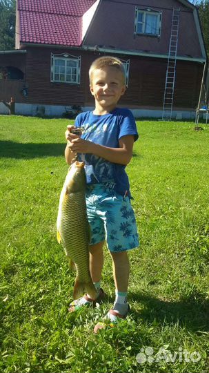 Охота и рыбалка