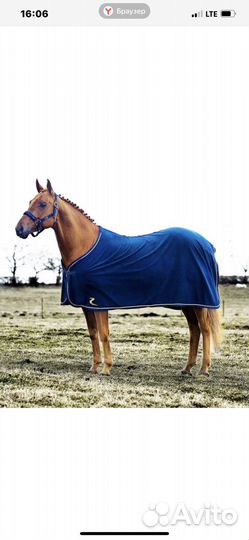 Попона летняя+ вальтрап. Комплект