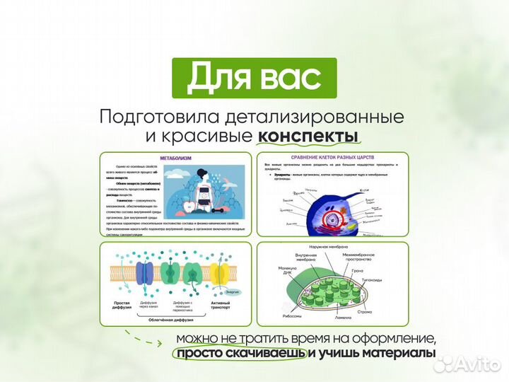 Репетитор по биологии ОГЭ ЕГЭ