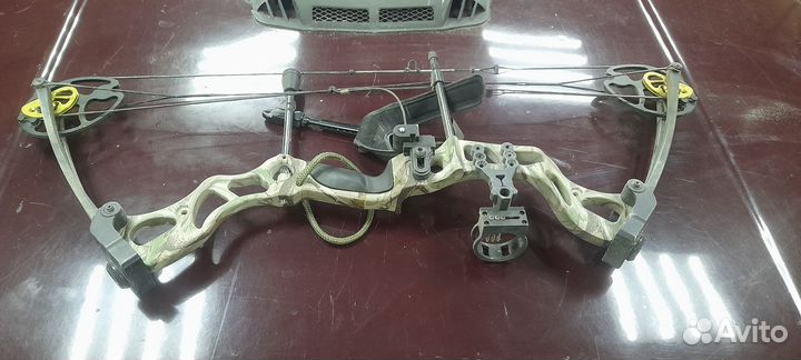 Спортивная стрельба