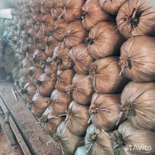 Сухая стружка и опилки лиственных пород деревьев