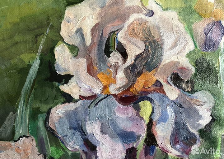 Ирисы. Этюд маслом
