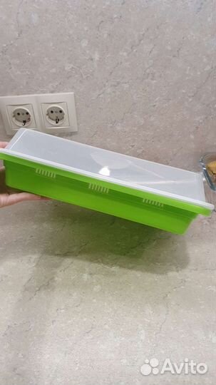 Лоток для выращивания микрозелени 25 на 32