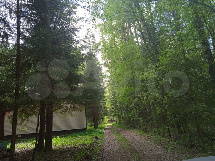 Участок 15,9 сот. (ИЖС)