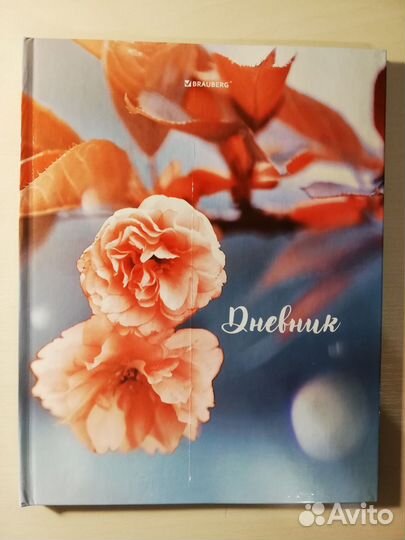 Дневники школьные новые