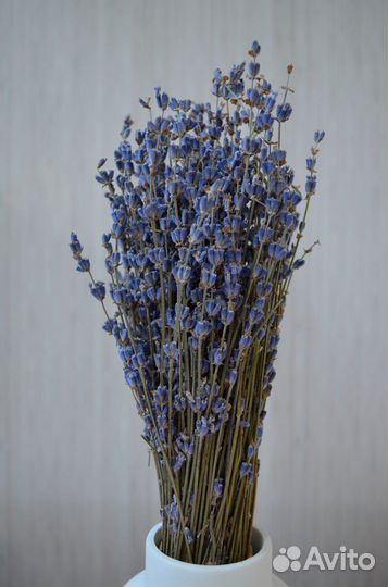 Лаванда (собрана в Крыму)