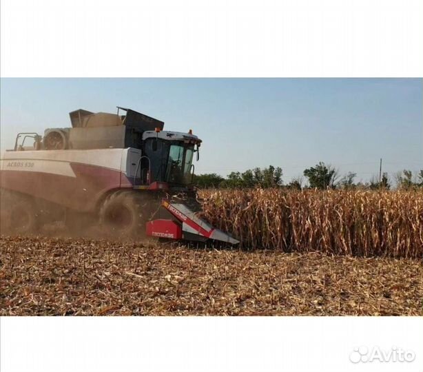 Уборка урожая 2024