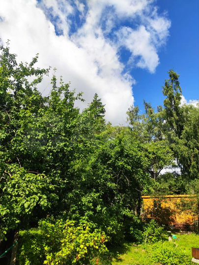 Дом 36 м² на участке 5,5 сот.