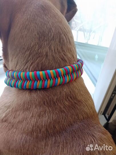 Ошейник для собаки с доставкой