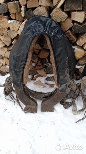 Сбруя для лошади