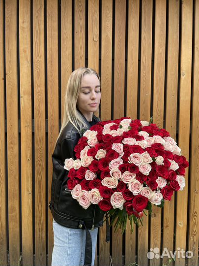 Букет свежих голландских роз 101 шт