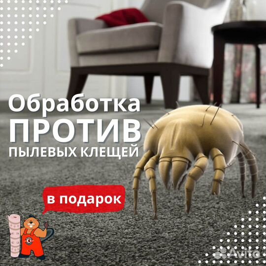 Стирка, чистка ковров