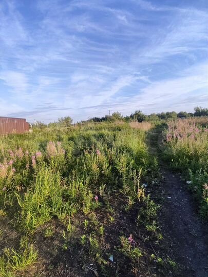 Дом 100 м² на участке 10 сот.