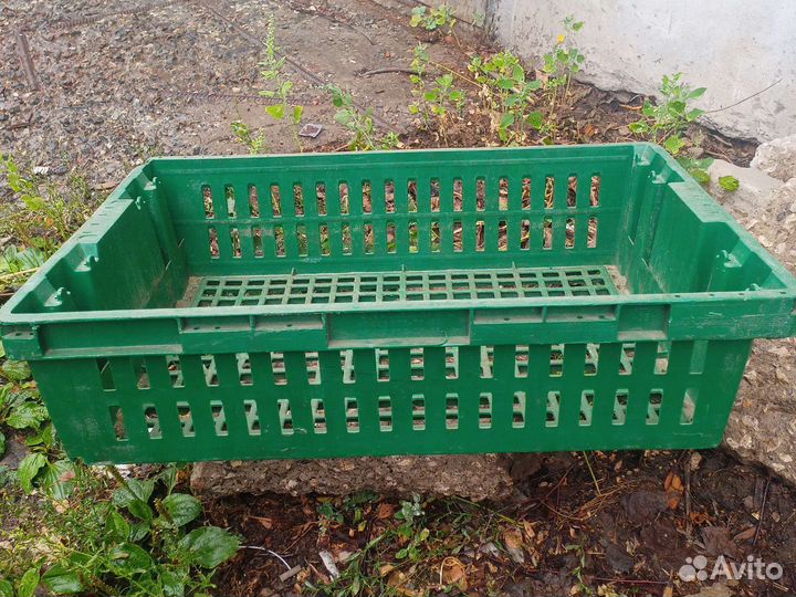 Пластиковые ящики для овощей бу