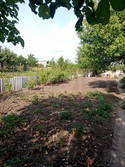 Участок 10 сот. (СНТ, ДНП)