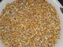 Зерно пшеница кукуруза горох