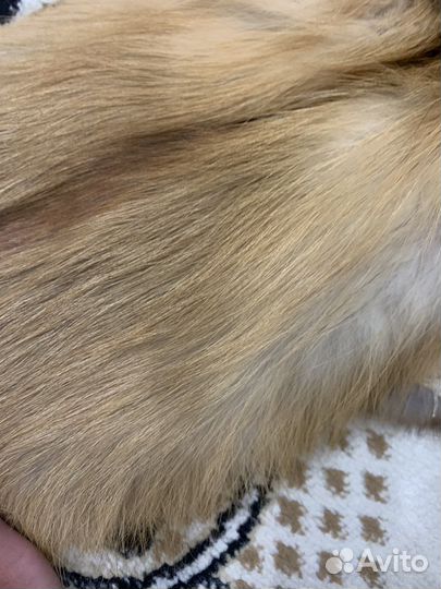 Шкура лисы