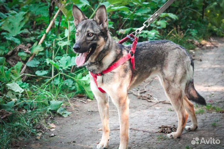 Тата в добрые руки