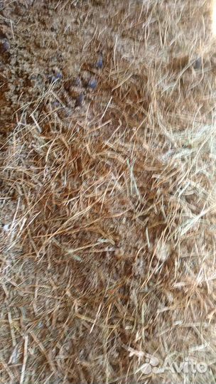 Навоз конский, удобрение