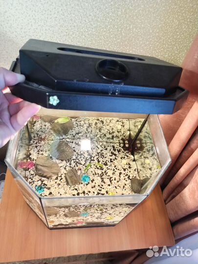 Аквариум 20 литров
