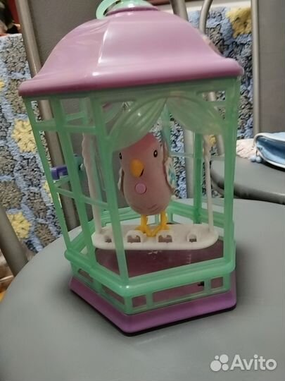 Певчая птичка в клетке