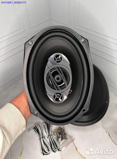 Автоколонки Pioneer TS-A6965 1800W 15x23 см