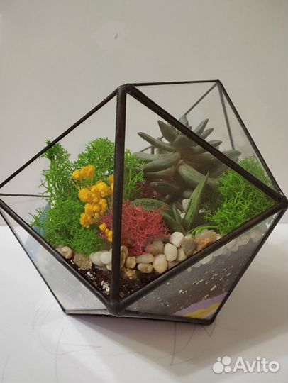 Флорариум с водоёмом и водопадом
