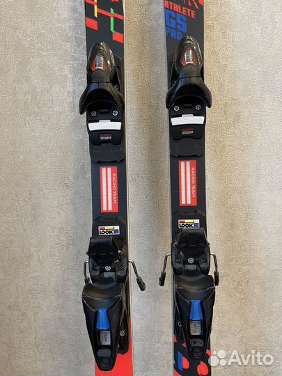 Горные лыжи