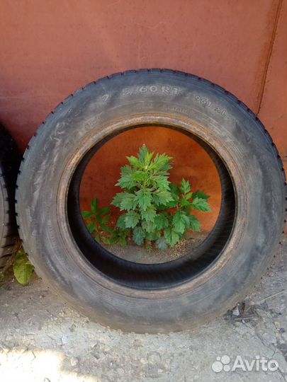 Nokian Tyres Nordman 7 205/60 R16 96T